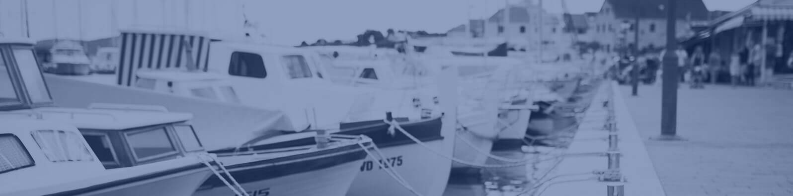 Texas P&C Insurance Agencies