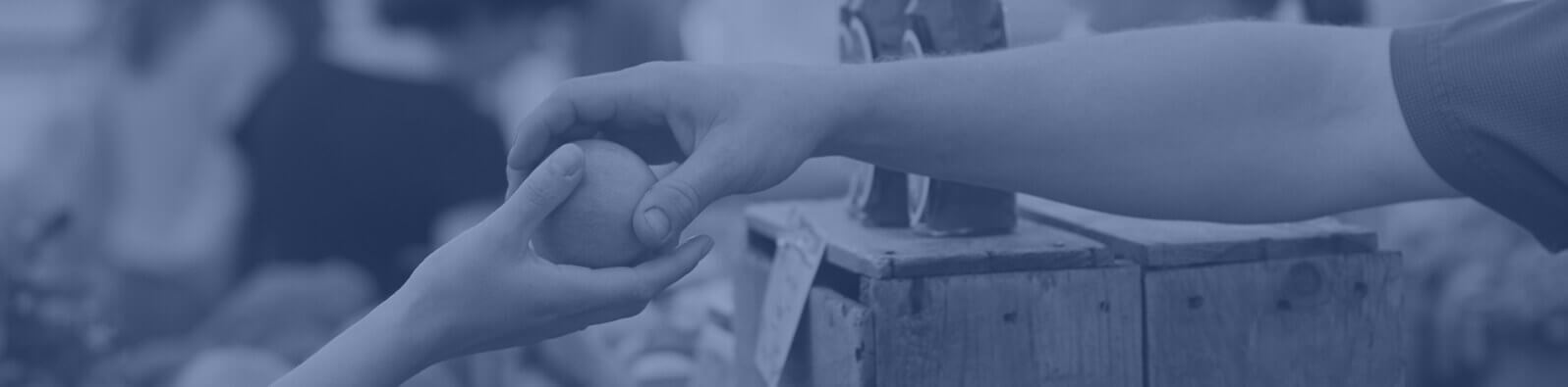 Texas P&C Insurance Agencies